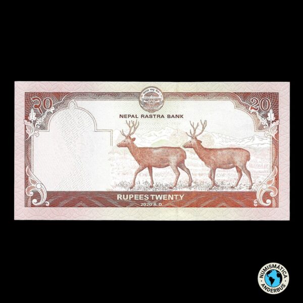 Nepal 20 Rupias 2020 - Imagen 2